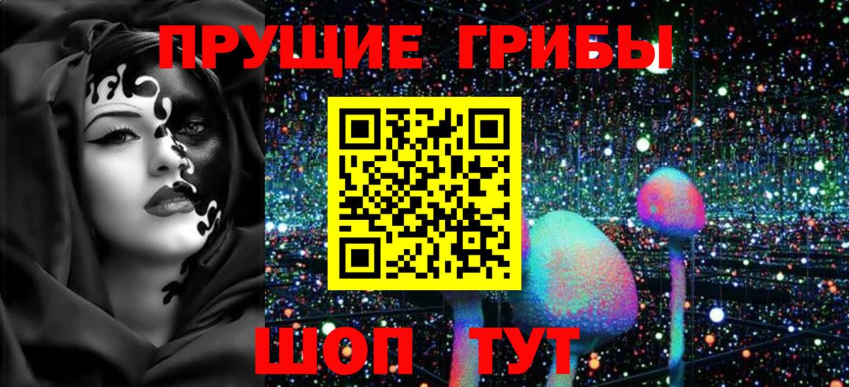 Псилоцибиновые грибы Magic Shrooms Карпинск
