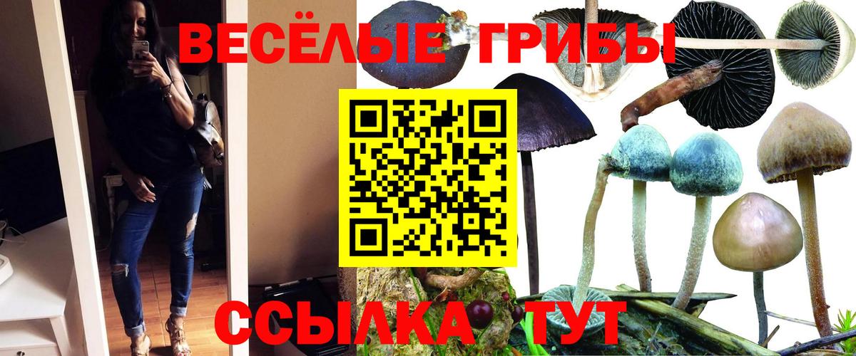 Галлюциногенные грибы ЛСД  Псилоцибиновые грибы Magic Shrooms  Вход с VPN  Карпинск 